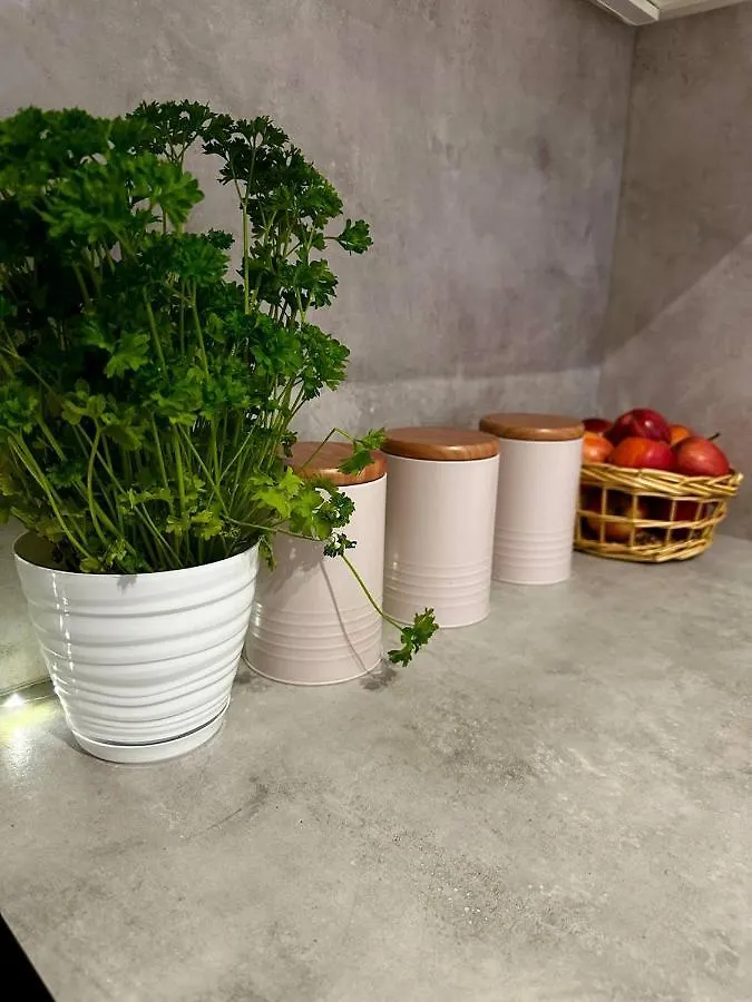Apartament Centrum, Miejsce Parkingowe W Cenie Warsaw Poland