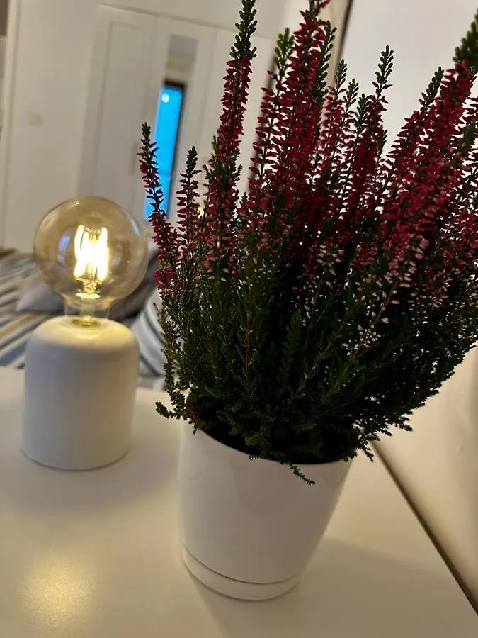 Apartament Centrum, Miejsce Parkingowe W Cenie Warsaw 0*,  Poland